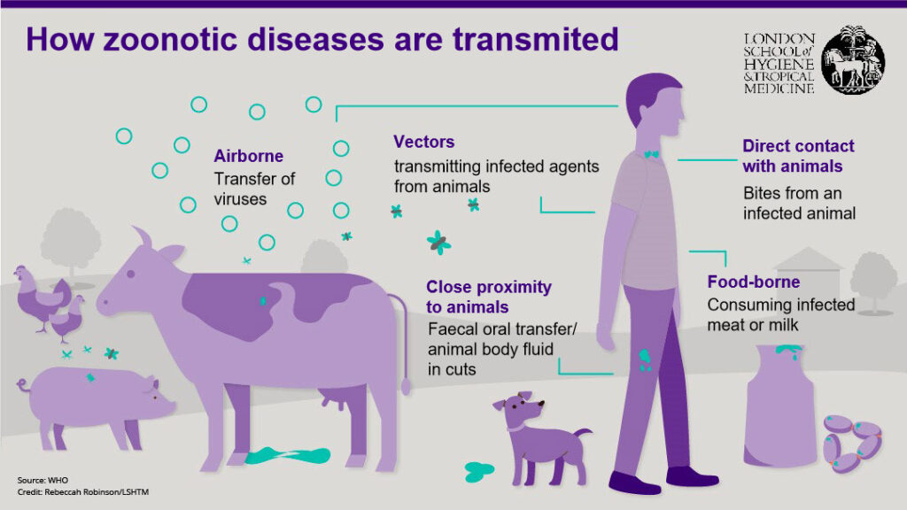 Climate Change, Zoonosis, and Epidemic outbreaks: Disease Outbreaks as