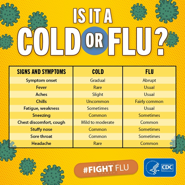 Infographic describing differences between cold and flu