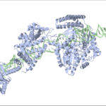Visualizing Biological Molecules at Atomic Resolution: Advances in Cryo-EM
